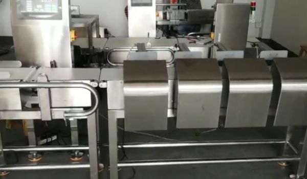 雞爪4級重量分選機(jī)測試視頻